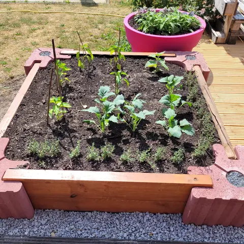Niedriges, frisch bepflanztes Beet aus roten Vablo Ecksteinen und Holzriegeln auf Kies neben einer Holzterrasse