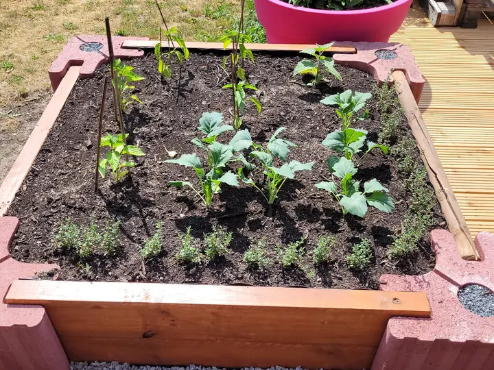 Niedriges, frisch bepflanztes Beet aus roten Vablo Ecksteinen und Holzriegeln auf Kies neben einer Holzterrasse