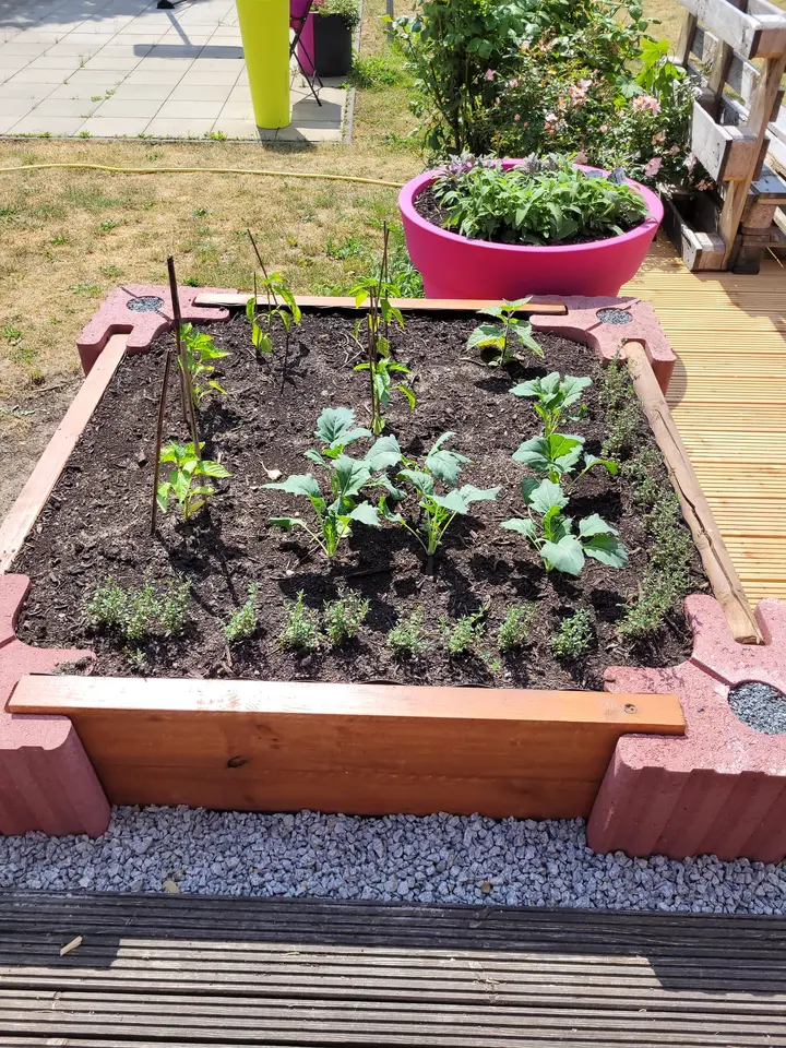 Niedriges, frisch bepflanztes Beet aus roten Vablo Ecksteinen und Holzriegeln auf Kies neben einer Holzterrasse