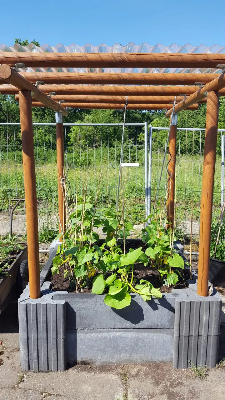 Braune Rundholzpergola, deren Pfosten in den grauen Vablo Ecksteinen eines bepflanzten Beets stecken