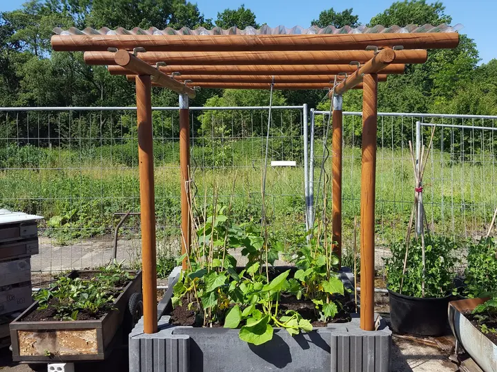 Rundholzpergola mit transparentem Wellendach über einem bepflanzten Beet aus grauen Vablo Ecksteinen und Betonriegeln; die Pfosten stecken in den Ecksteinen