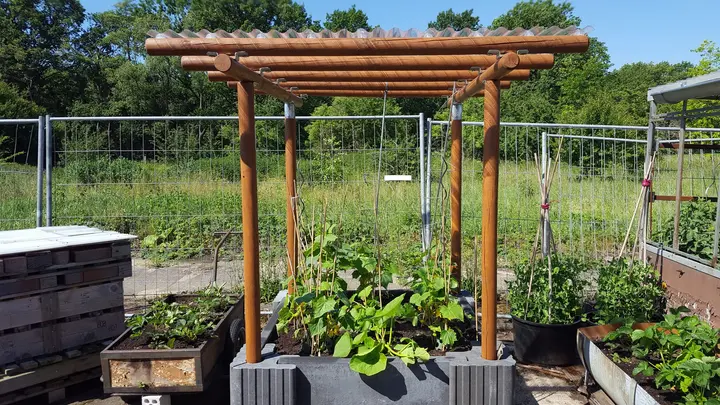 Rundholzpergola mit transparentem Wellendach über einem bepflanzten Beet aus grauen Vablo Ecksteinen und Betonriegeln; die Pfosten stecken in den Ecksteinen